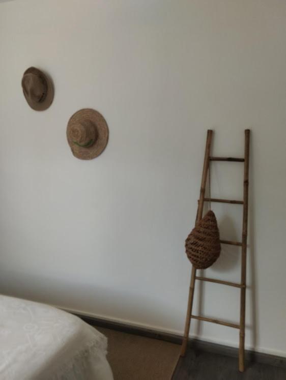 La Maison Cosy Encausse-les-Thermes エクステリア 写真