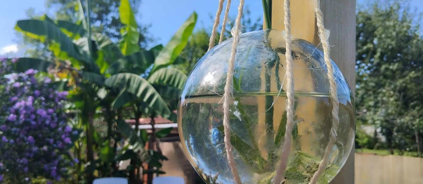 La Maison Cosy Encausse-les-Thermes エクステリア 写真